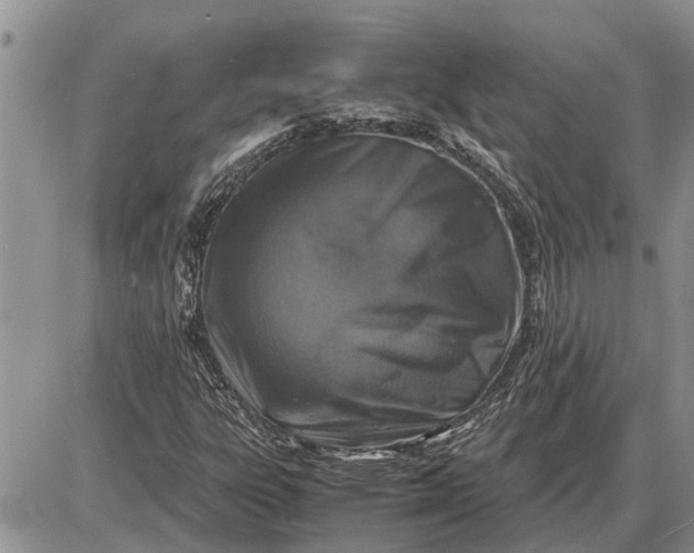 X0000085251303200703231639