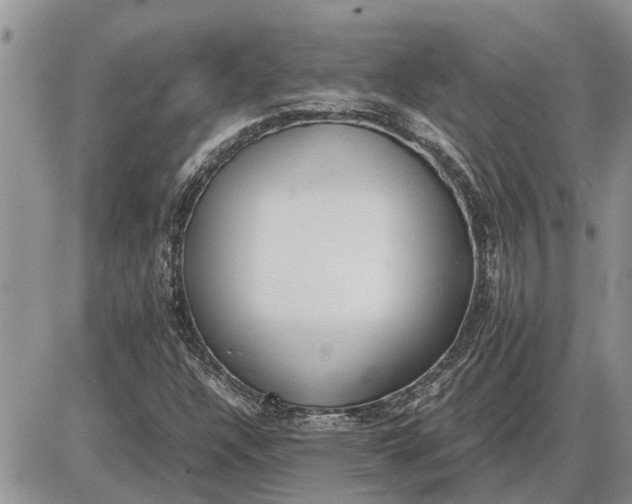 X0000085251304200703231639