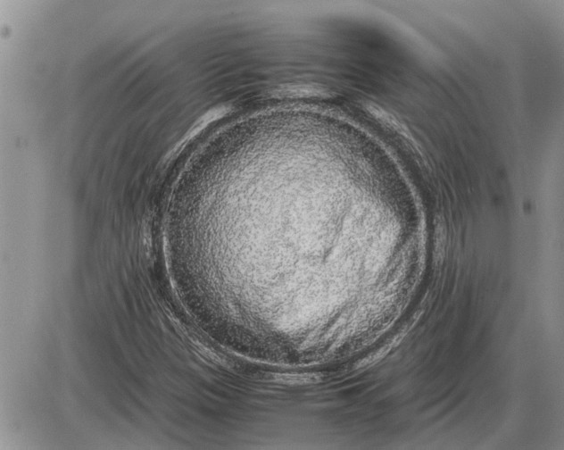 X0000085251305200703231639