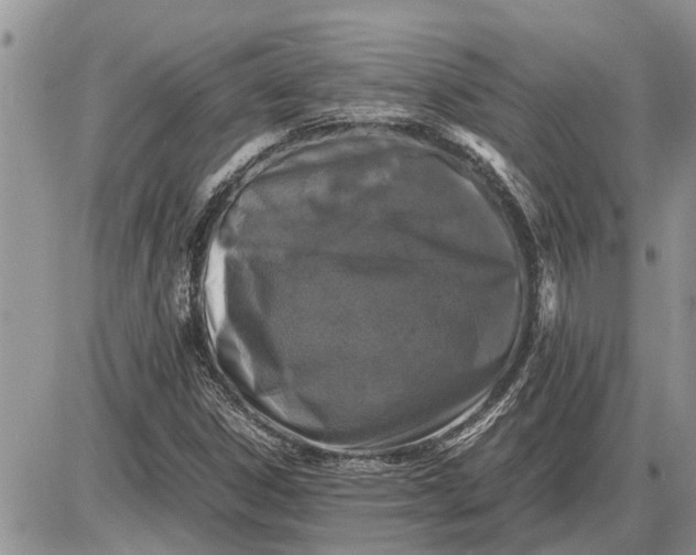 X0000085251306200703231639