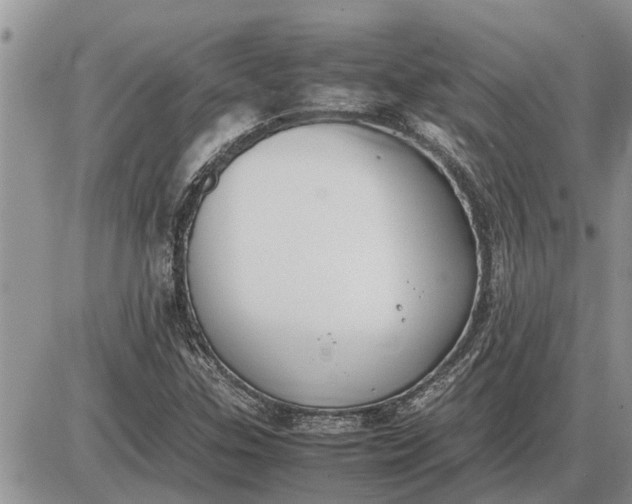 X0000085251307200703231639