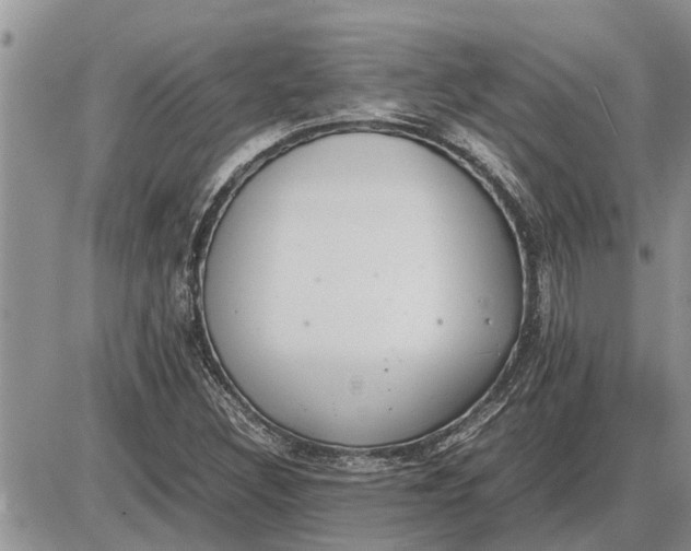 X0000085251308200703231639