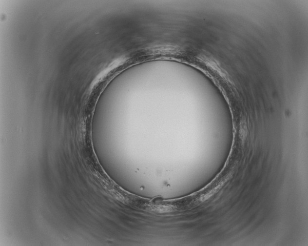 X0000085251309200703231639