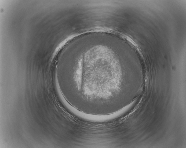 X0000085251310200703231639