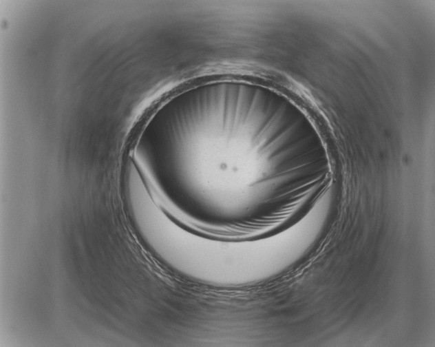 X0000085251312200703231639