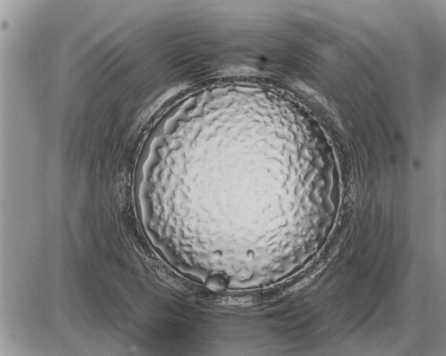 X0000085251313200703231639