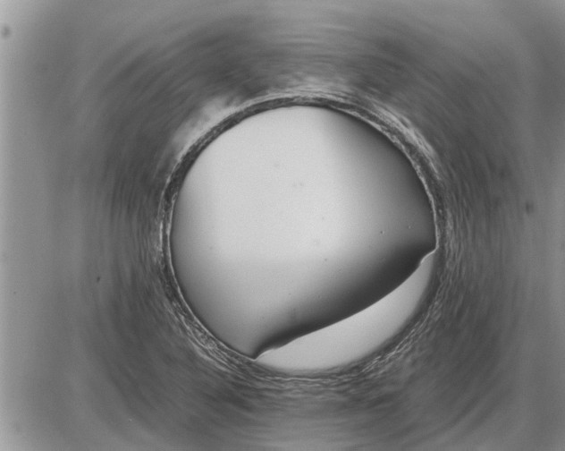 X0000085251316200703231639