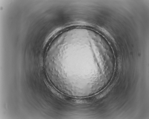 X0000085251318200703231640