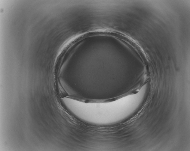 X0000085251319200703231640