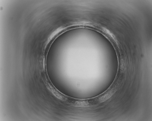 X0000085251320200703231640