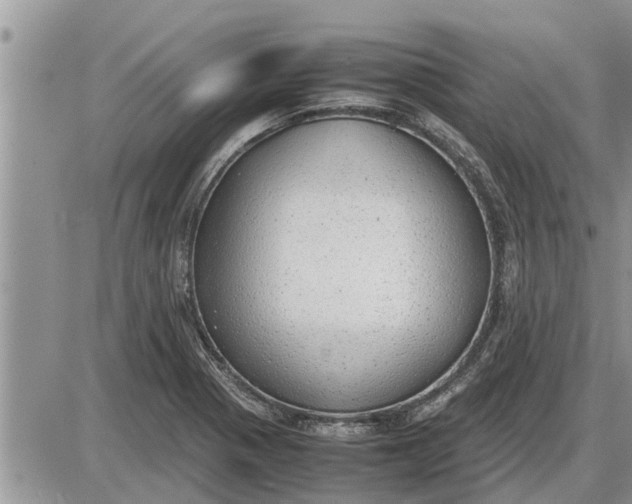 X0000085251321200703231640