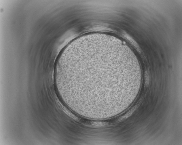 X0000085251322200703231640