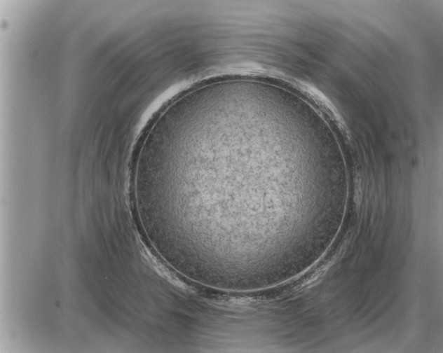 X0000085251326200703231640