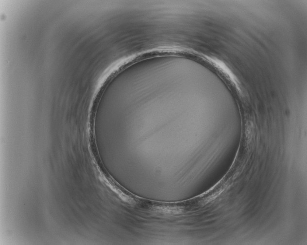 X0000085251327200703231640