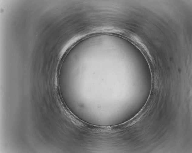 X0000085251328200703231640