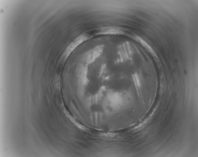 X0000085251329200703231640