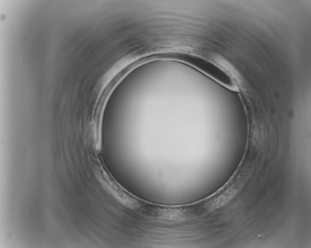 X0000085251332200703231640