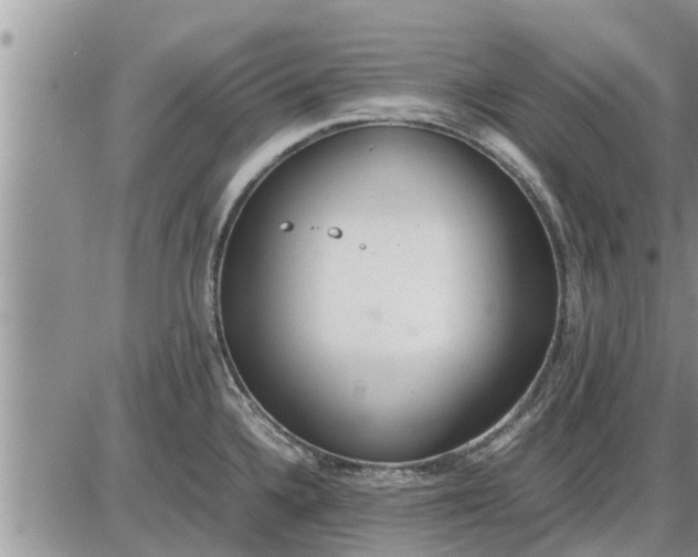 X0000085251336200703231640