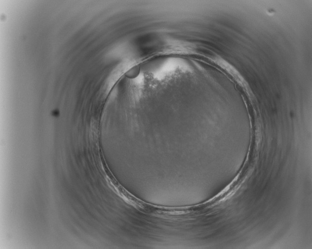 X0000085251337200703231640