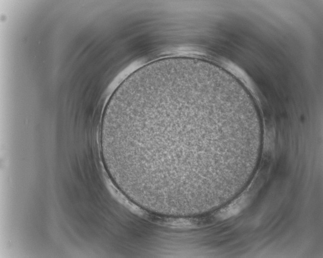 X0000085251338200703231640