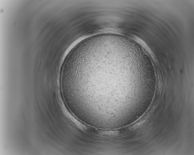 X0000085251339200703231640