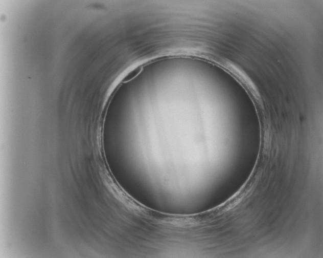 X0000085251340200703231640