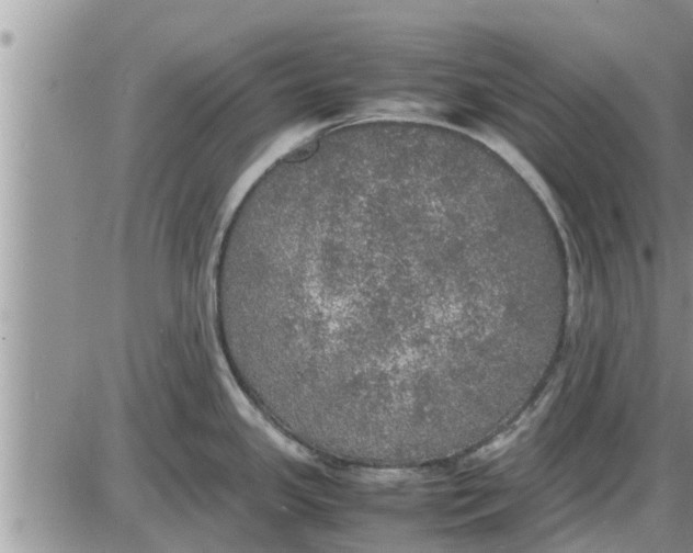 X0000085251341200703231640