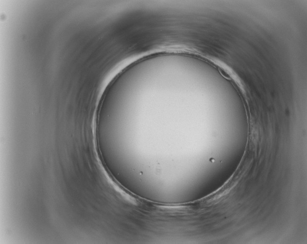 X0000085251343200703231640