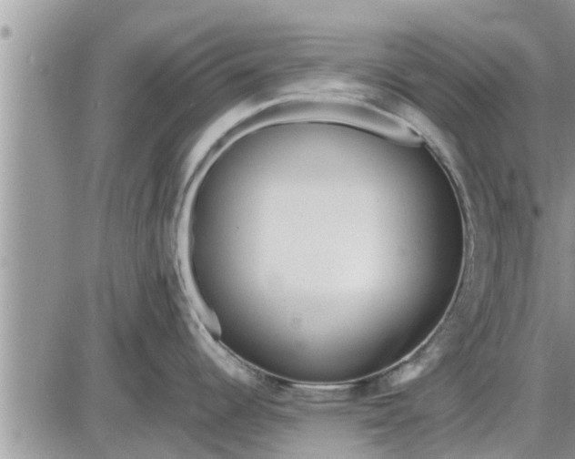 X0000085251344200703231640