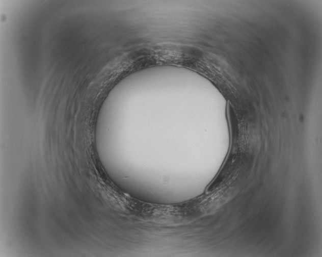 X0000085251345200703231639