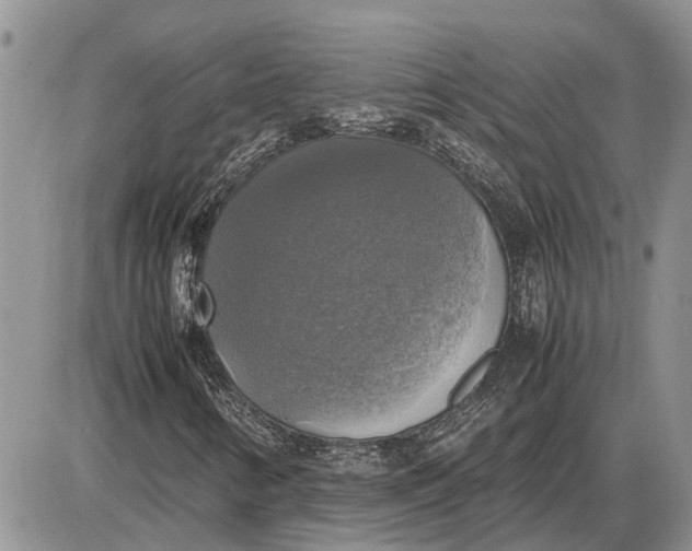 X0000085251346200703231639