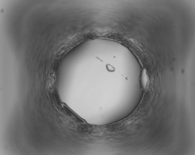 X0000085251349200703231639