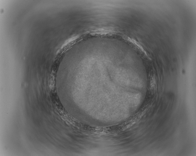 X0000085251350200703231639