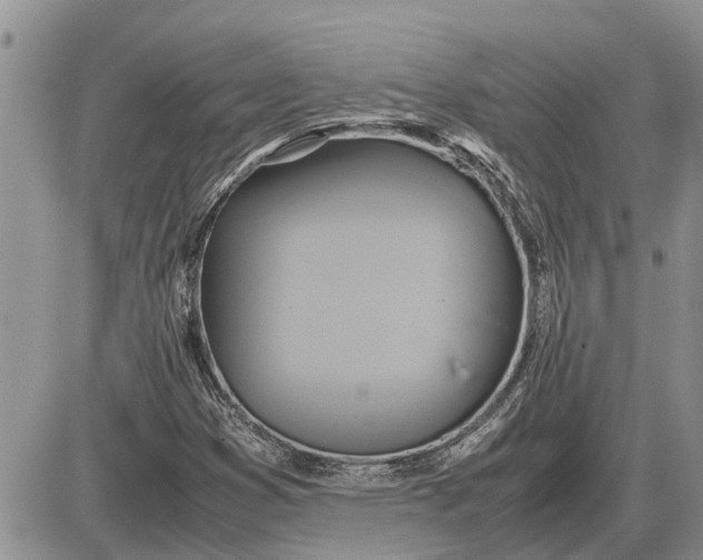 X0000085251353200703231639