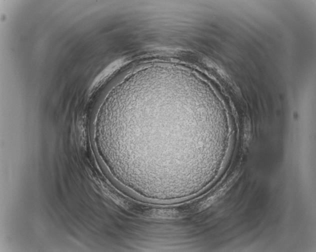 X0000085251354200703231639