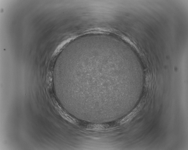 X0000085251355200703231639