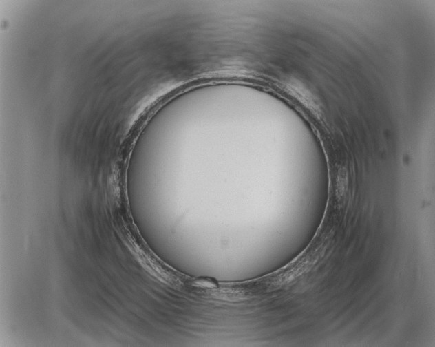 X0000085251356200703231639