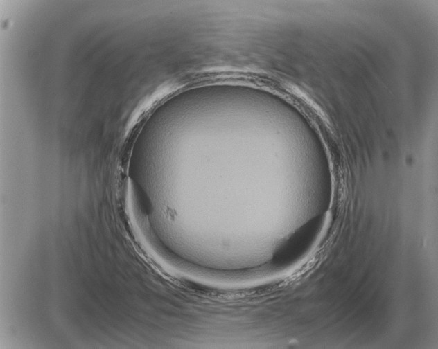 X0000085251357200703231639