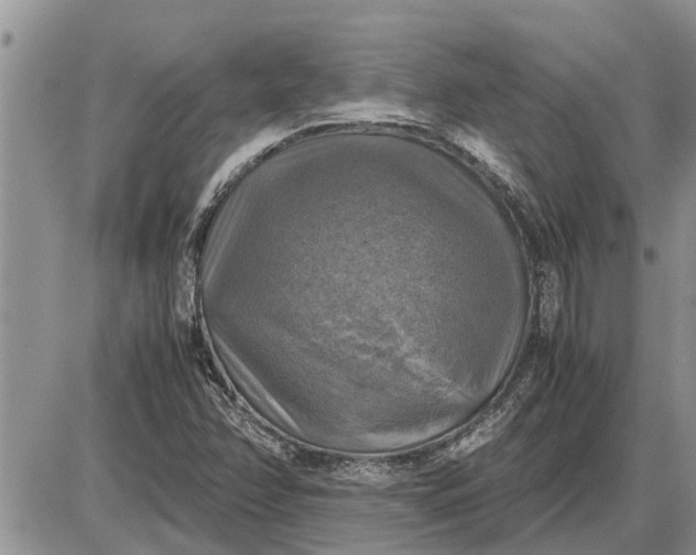 X0000085251358200703231639