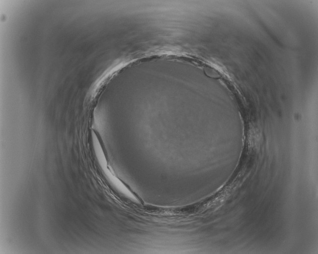 X0000085251359200703231639