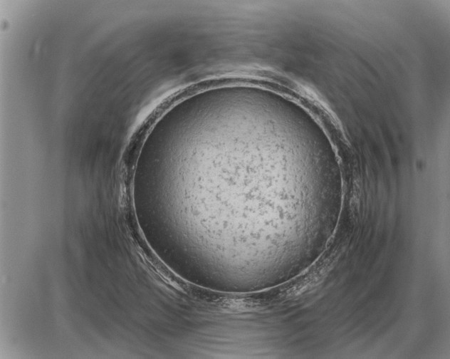 X0000085251360200703231639