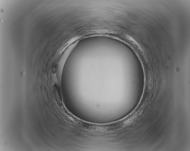 X0000085251361200703231639