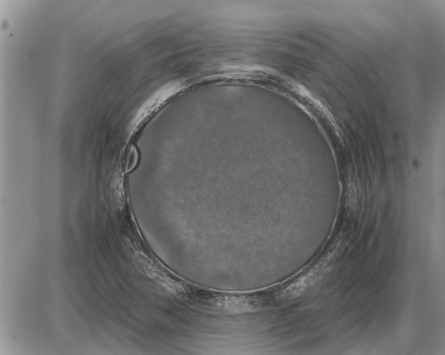 X0000085251362200703231639