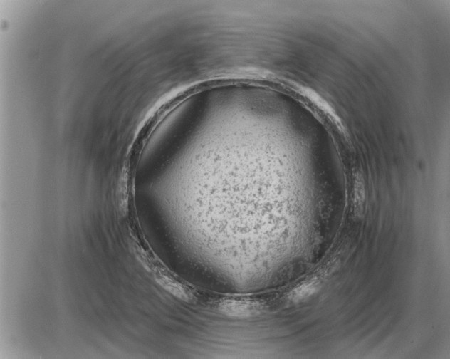 X0000085251364200703231639