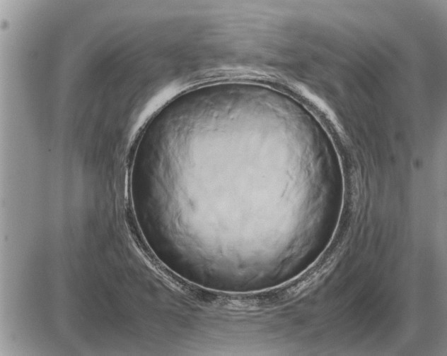 X0000085251365200703231639