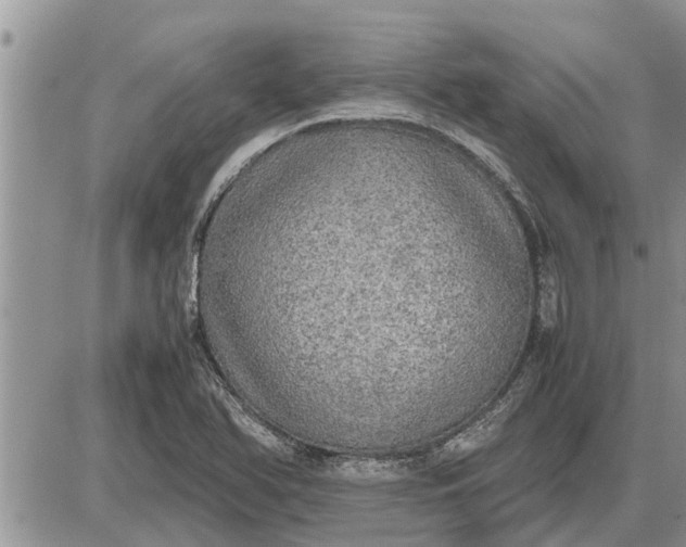 X0000085251366200703231639