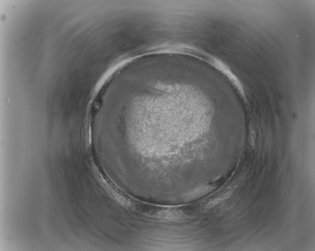 X0000085251368200703231639