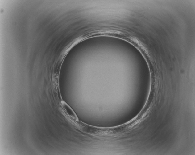 X0000085251369200703231639