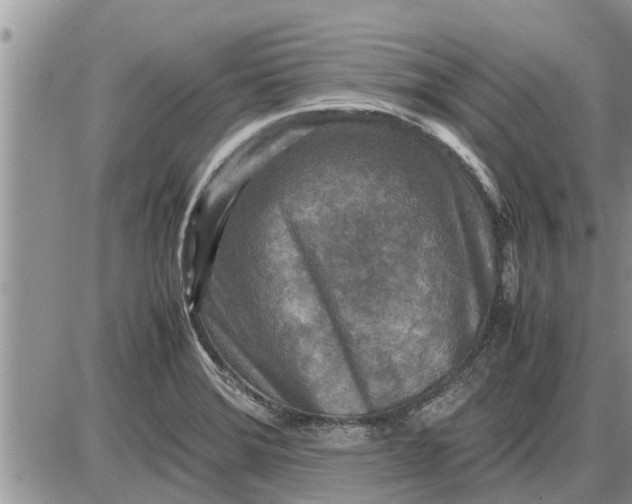 X0000085251372200703231639