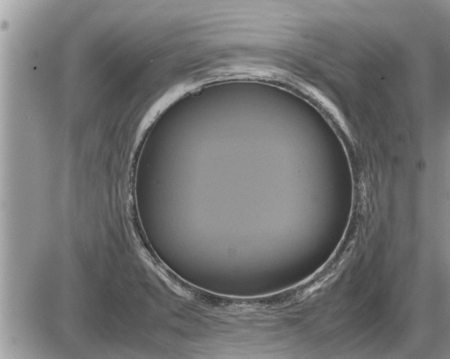 X0000085251373200703231639